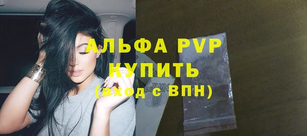 spice Богданович