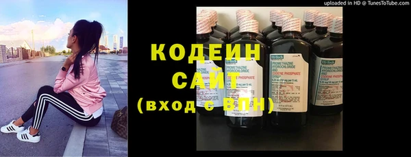 spice Богданович