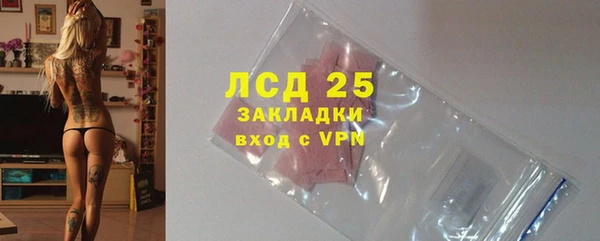 spice Богданович