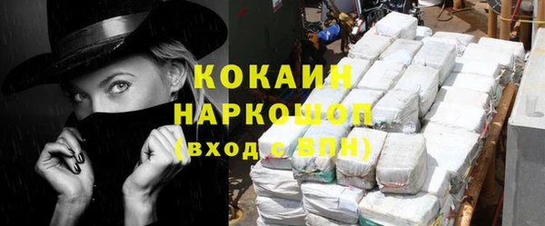 spice Богданович